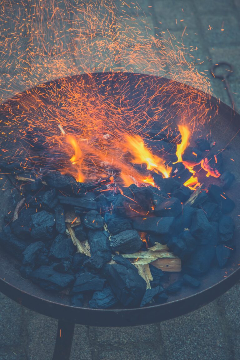 Charcoal for grilling1