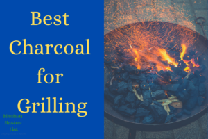 Best Charcoal for Grilling in India